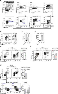 Unique Phenotypes of Heart Resident Type 2 Innate Lymphoid Cells